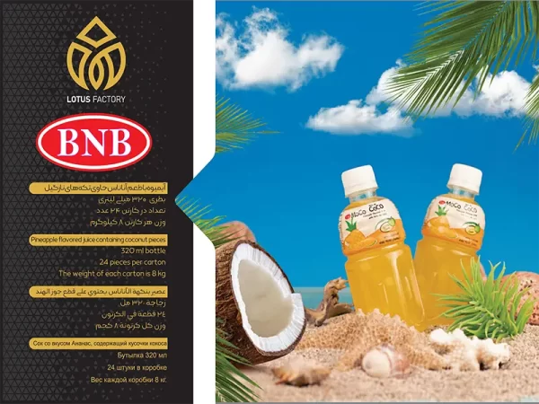 خرید آب میوه موکو کوکو آناناس