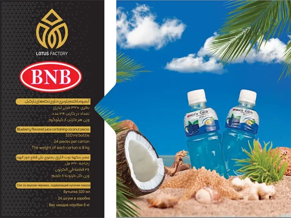 خرید آب میوه موکو کوکو بلوبری