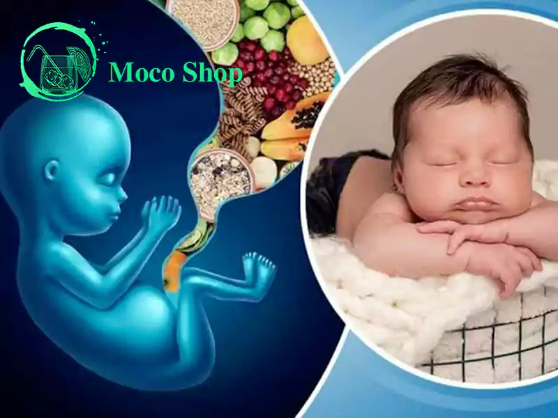 Secrets of nutrition during pregnancy that no one tells you - mocoshop.ir | رازهای تغذیه در دوران بارداری