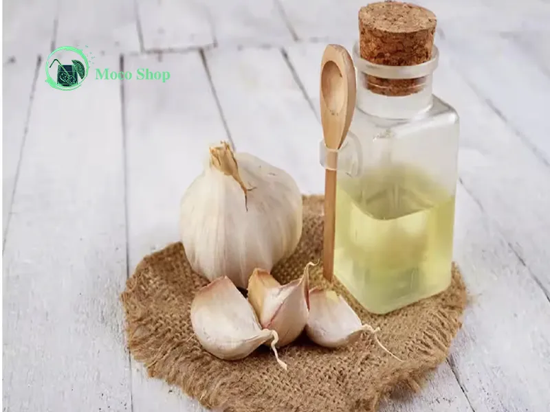 خواص شگفتانگیز آب سیر: اکسیر سلامتی در دسترس شما!