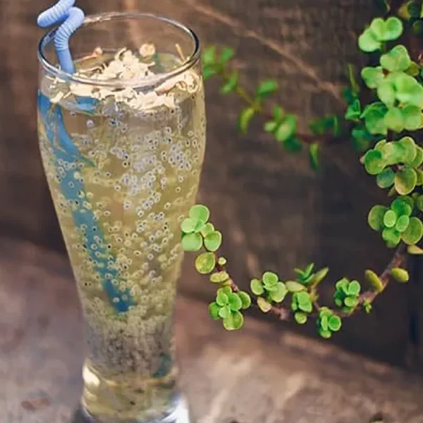 شربت تخم شربتی