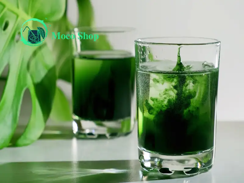 فواید شگفتانگیز نوشیدنی کلروفیل: اکسیر سلامتی از دل طبیعت