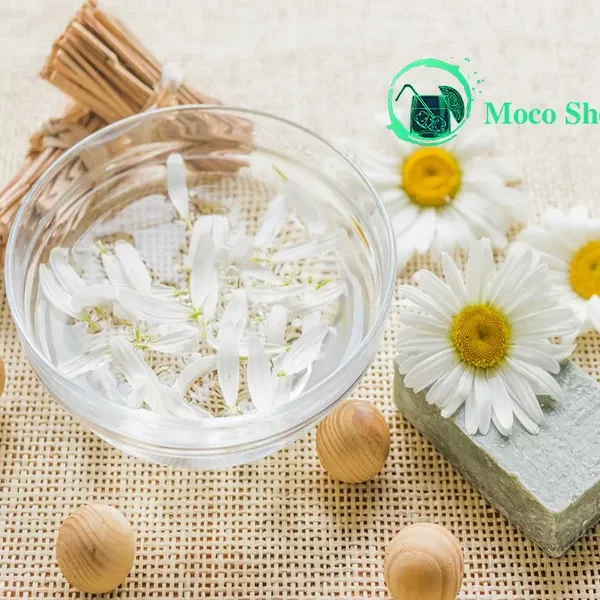 خواص عرق بابونه