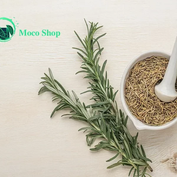 خواص عرق رازیانه