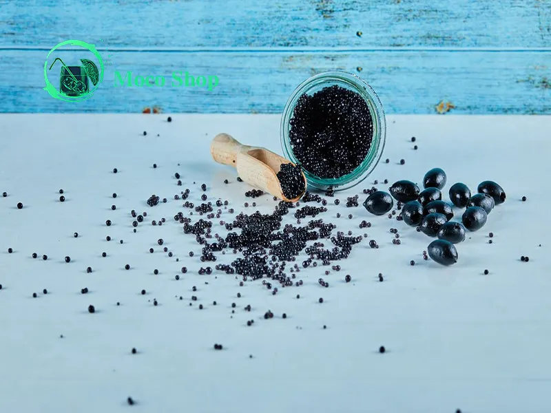 خواص سیاه دانه برای زنان
