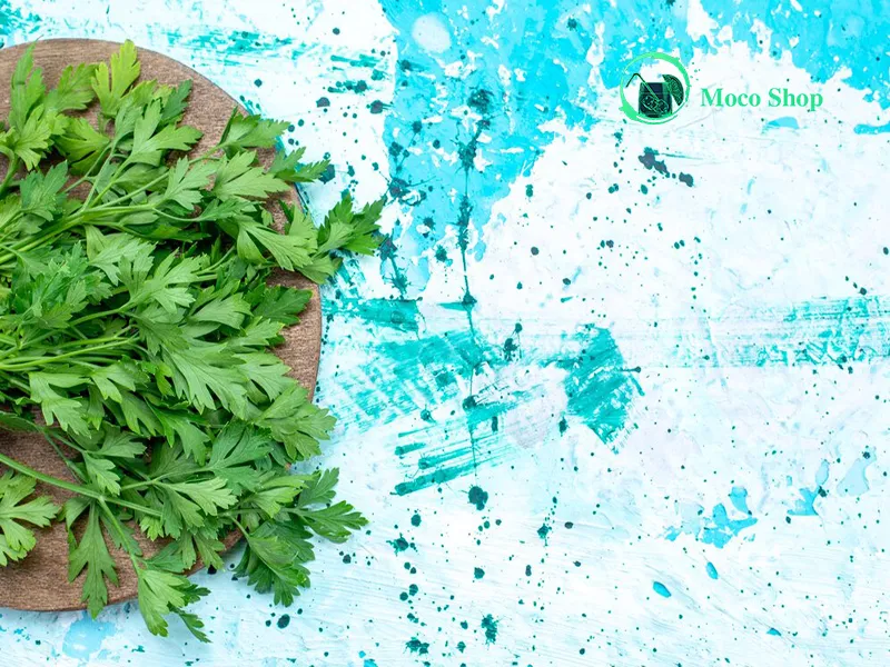 نحوه مصرف عرق نعناع برای معده