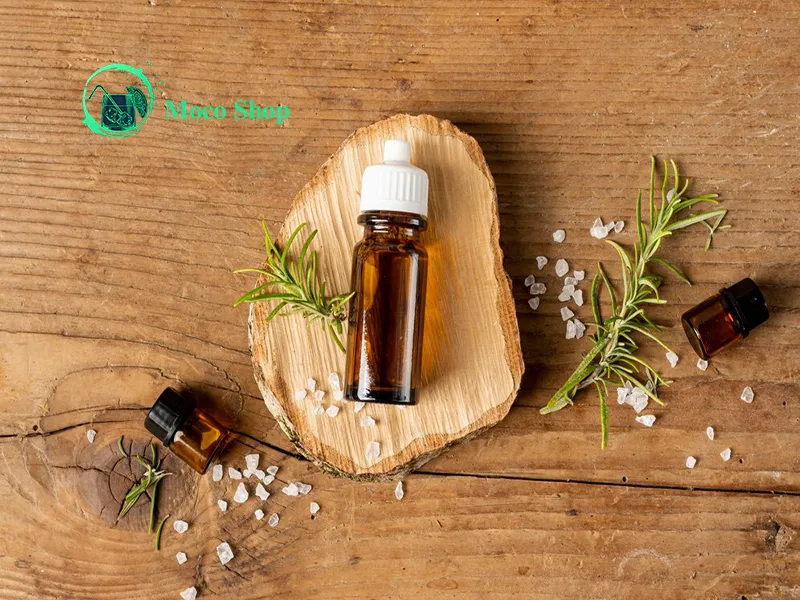عرق گزنه برای پروستات