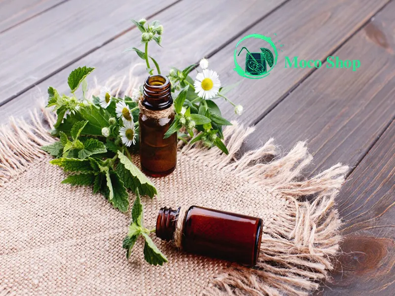 عرق گزنه: اکسیر سلامتی از دل طبیعت